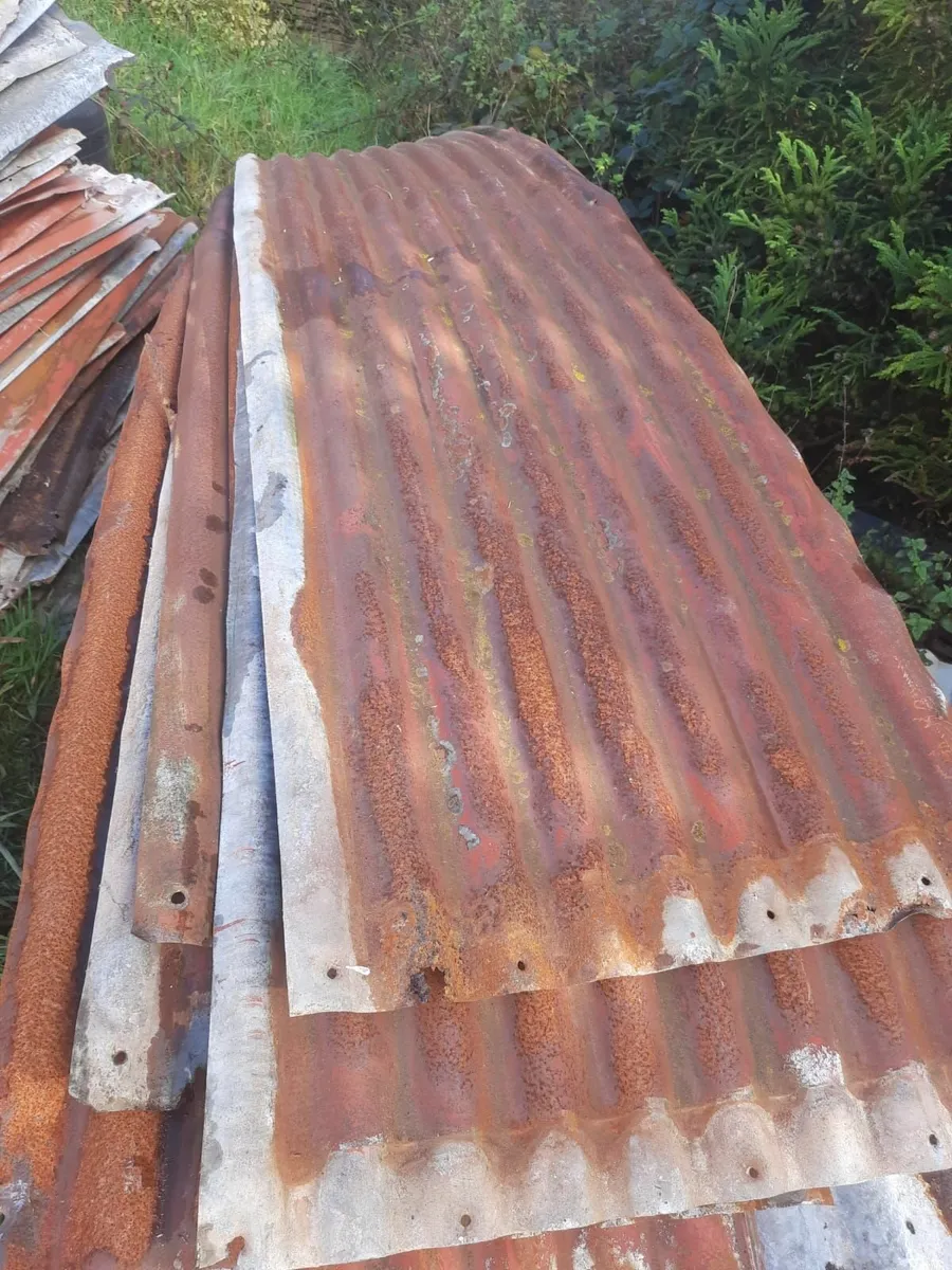 Old Galvanised Tin Sheets - Image 3