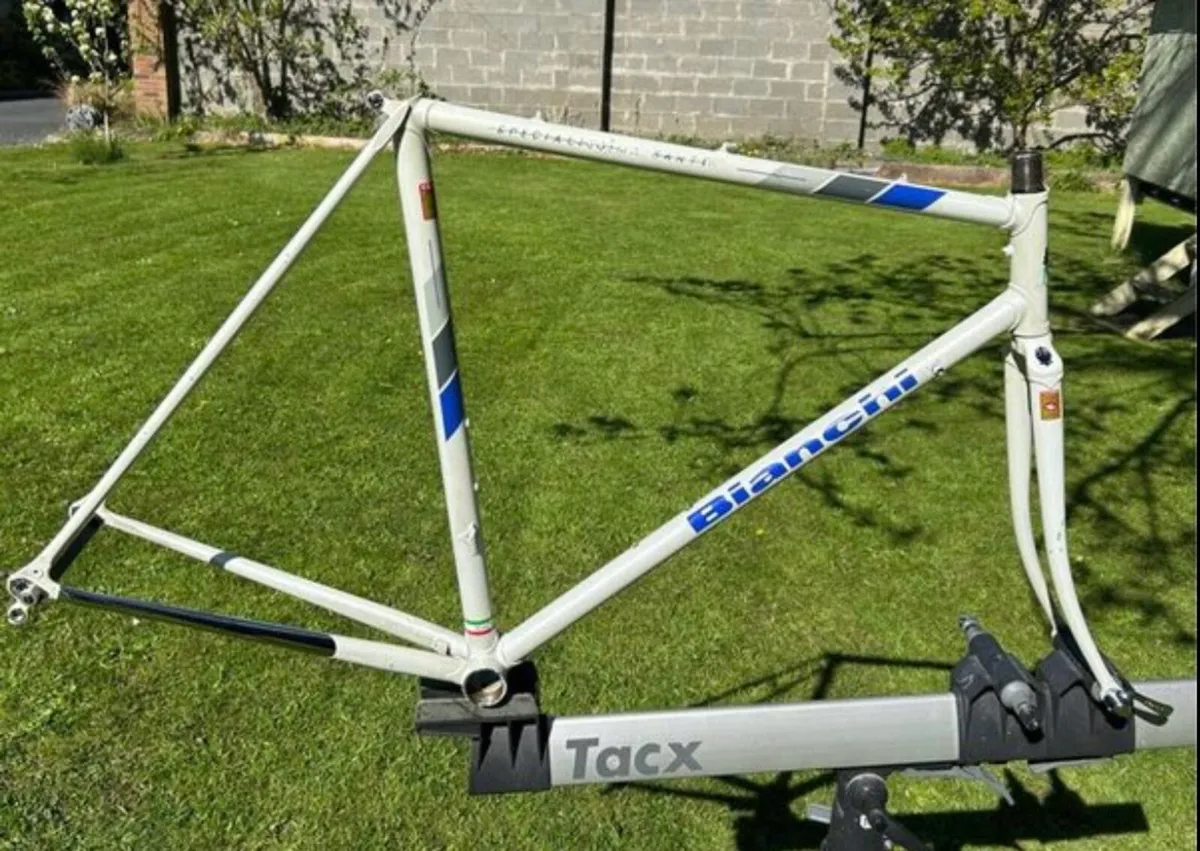 Bianchi Specialissima SLX Frame - Image 1