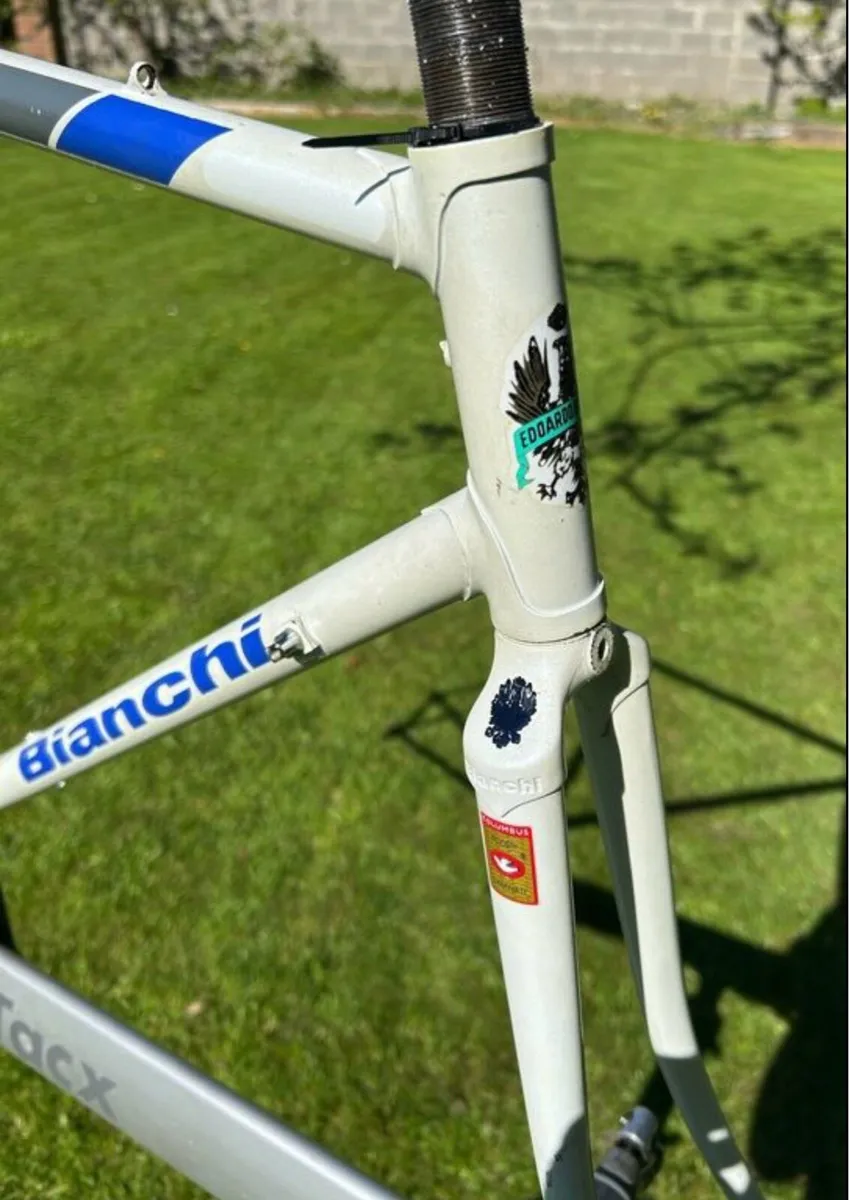 Bianchi Specialissima SLX Frame - Image 2