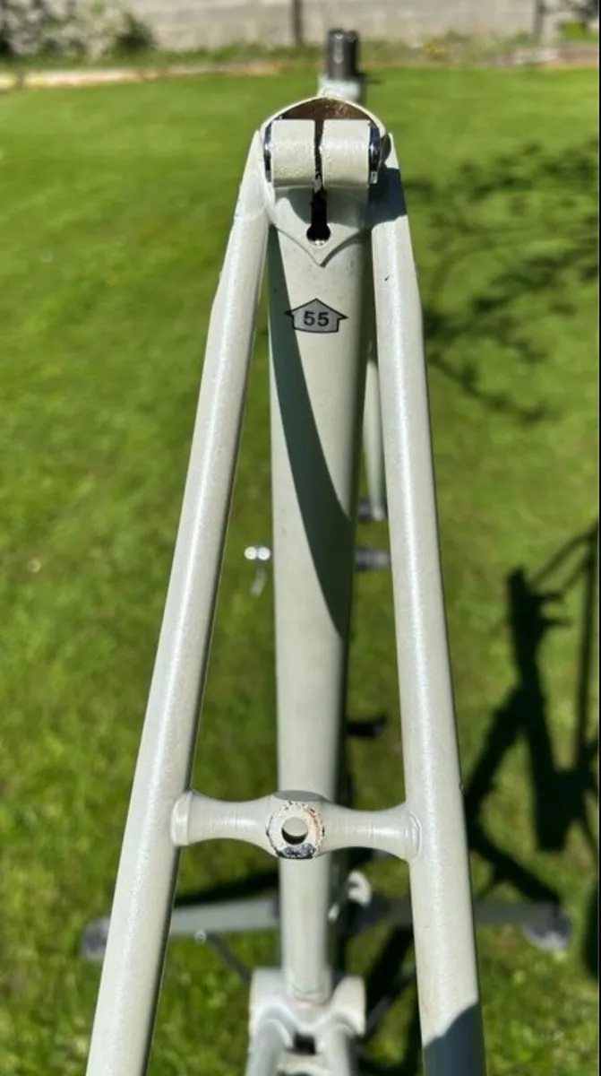 Bianchi Specialissima SLX Frame - Image 4