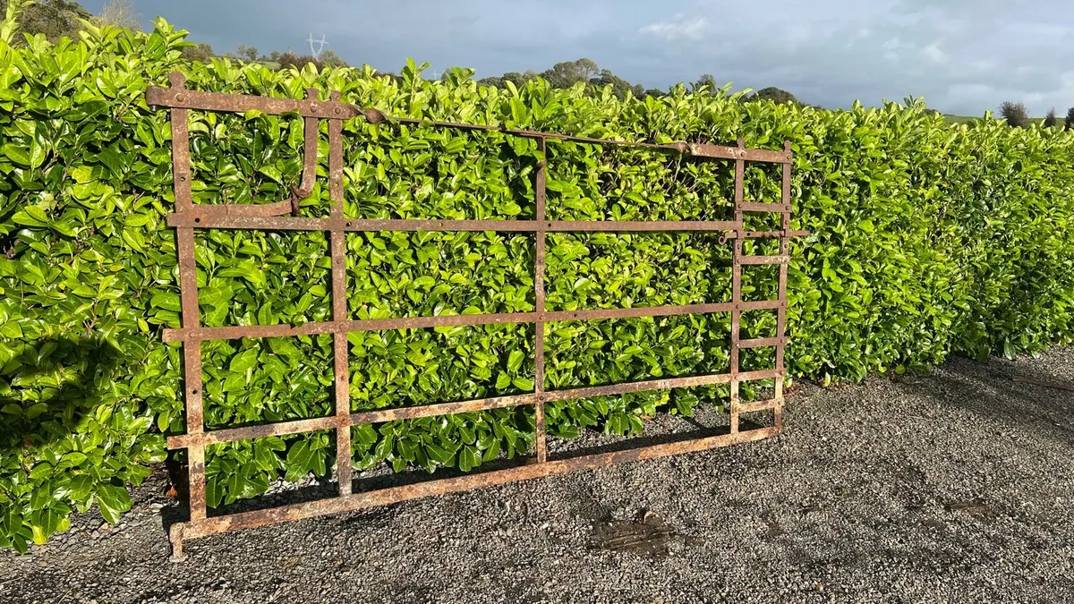 Farm gate