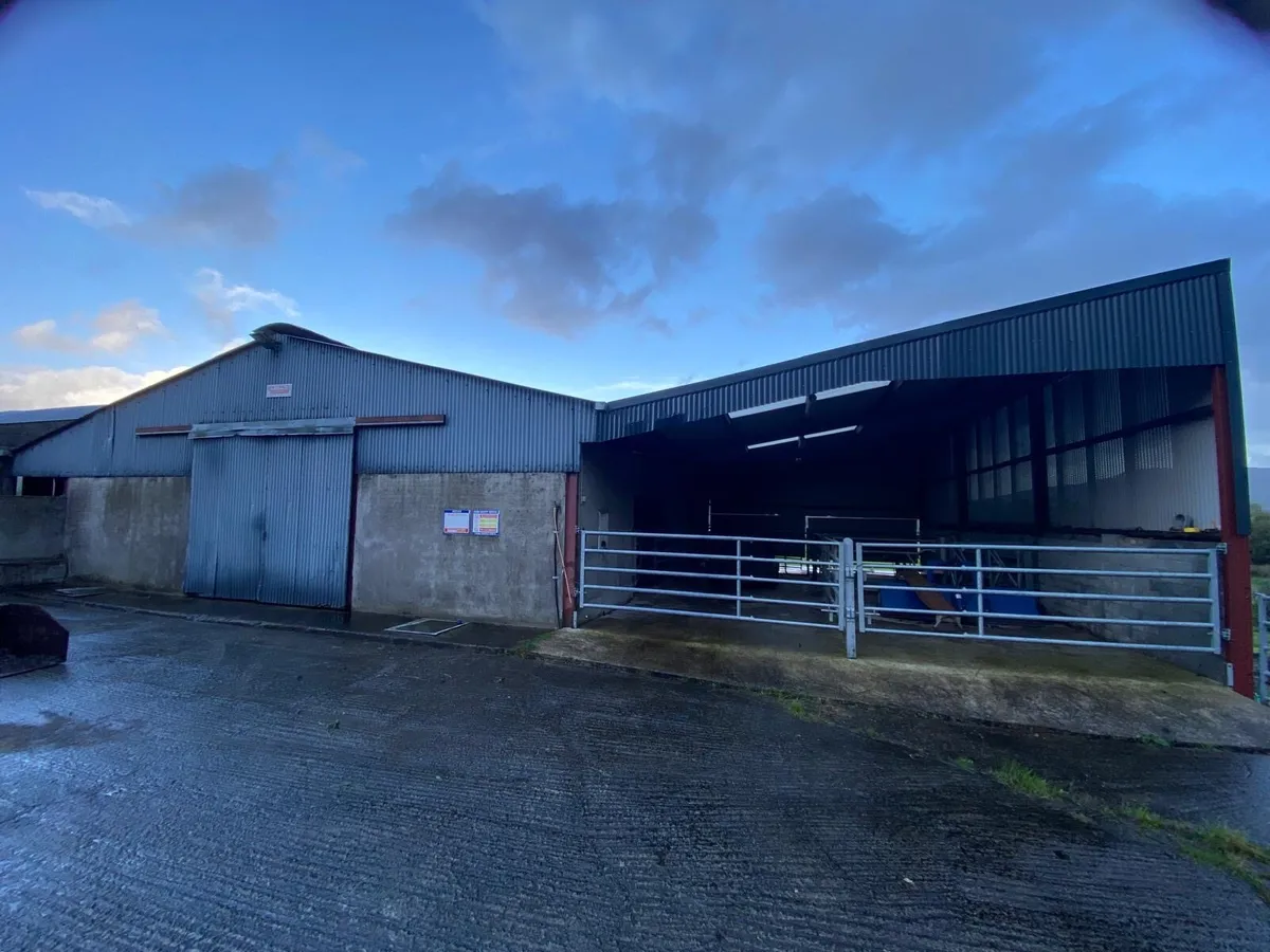 Slatted/ dry shed/handling unit - Image 1