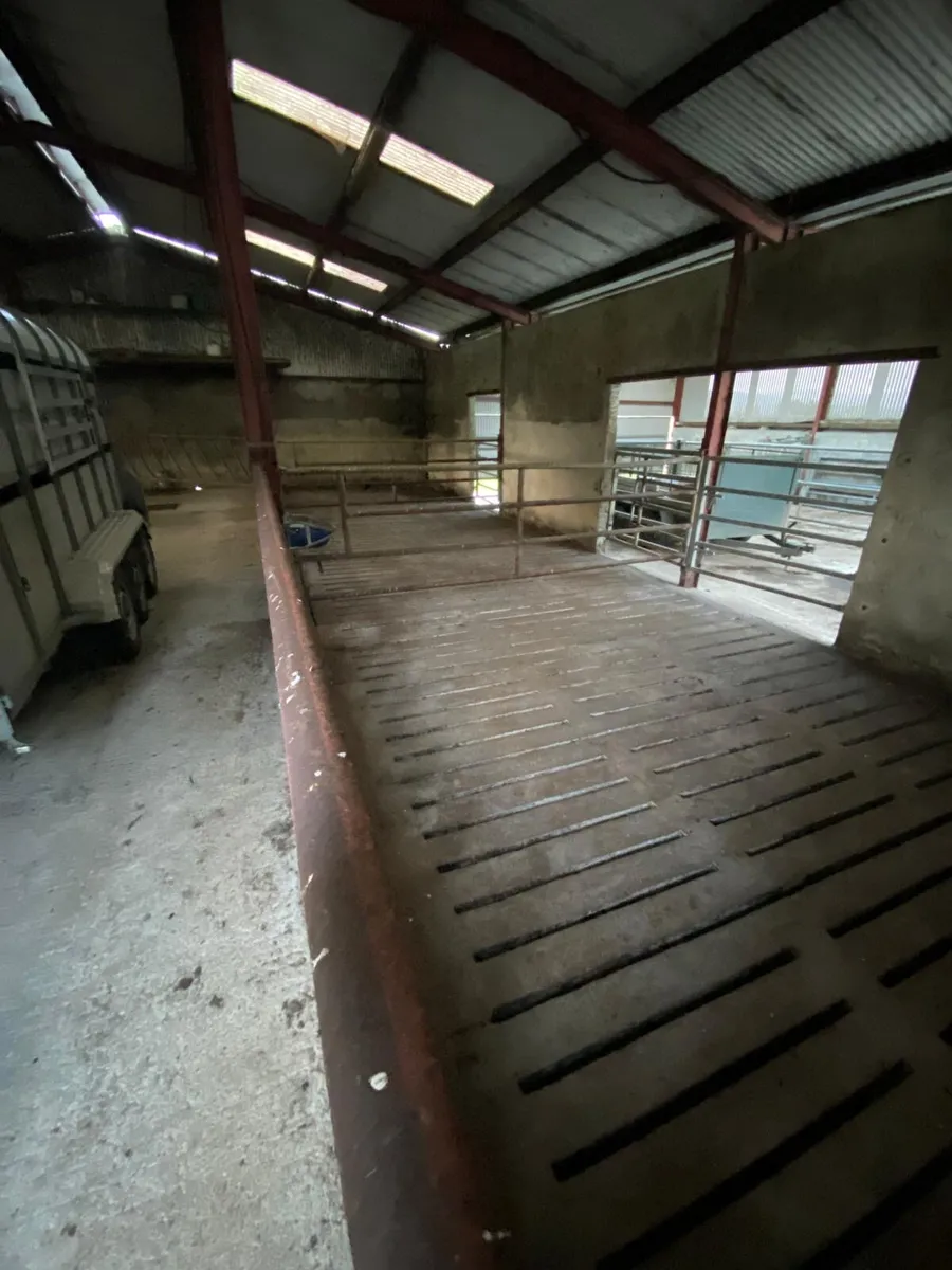 Slatted/ dry shed/handling unit - Image 2