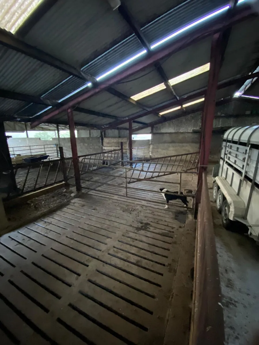 Slatted/ dry shed/handling unit - Image 3
