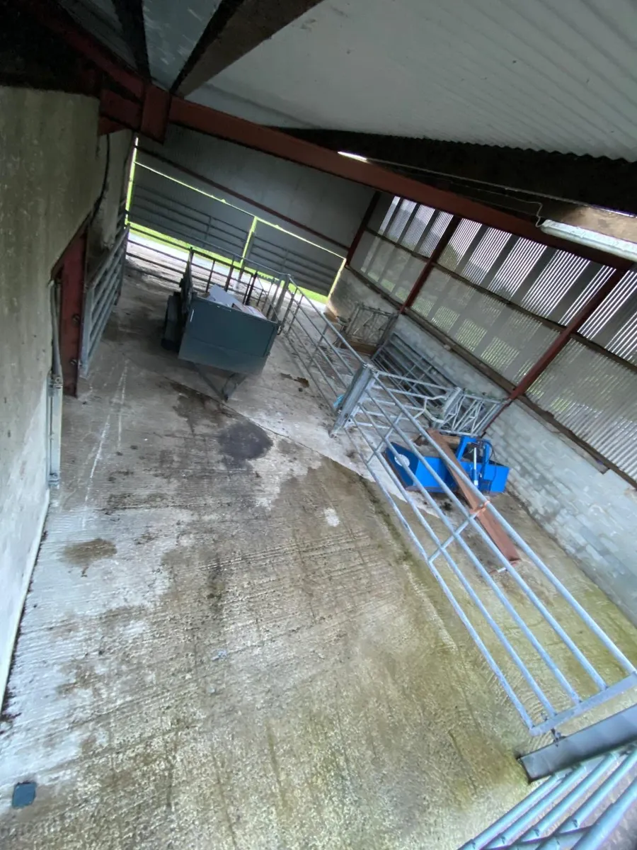 Slatted/ dry shed/handling unit - Image 4