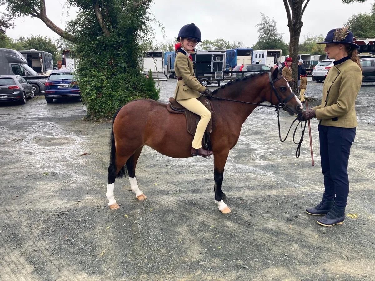 Pretty Welsh lead rein pony or second ridden - Image 2