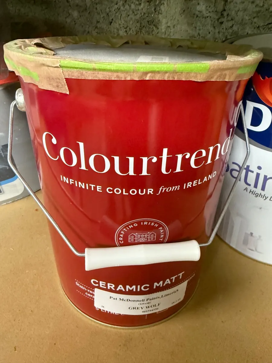 Colortrend Ceramic Matt Paint