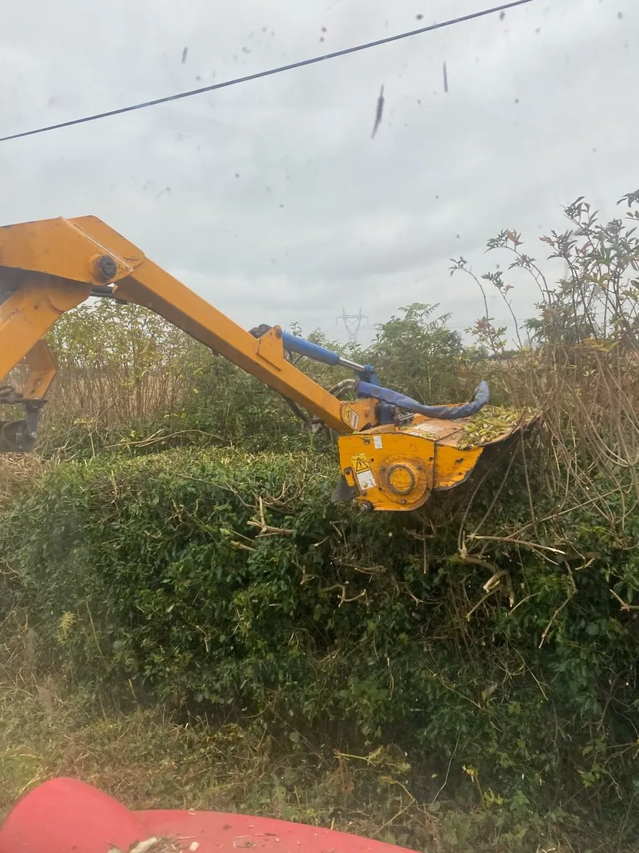 Hedge cutting hire - Image 3