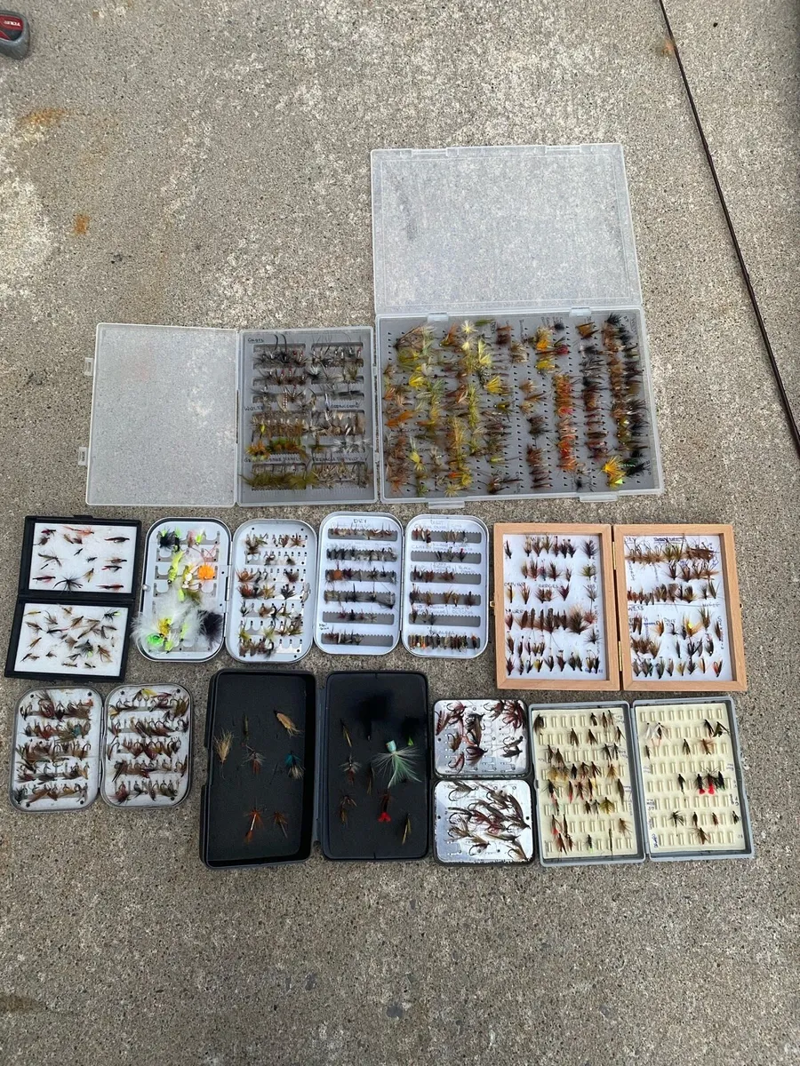 Fly fishing - Image 2