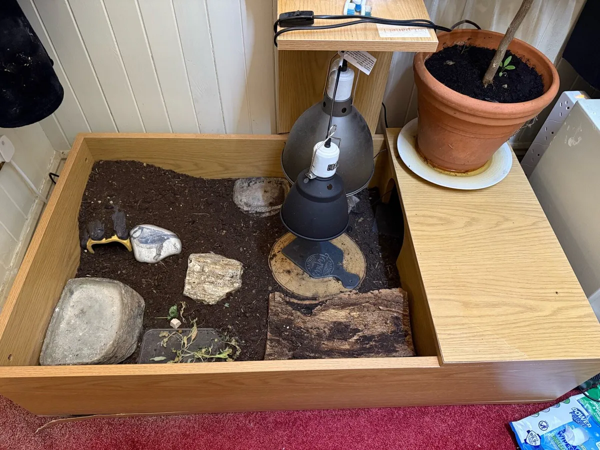 Tortoise enclosure - Image 2