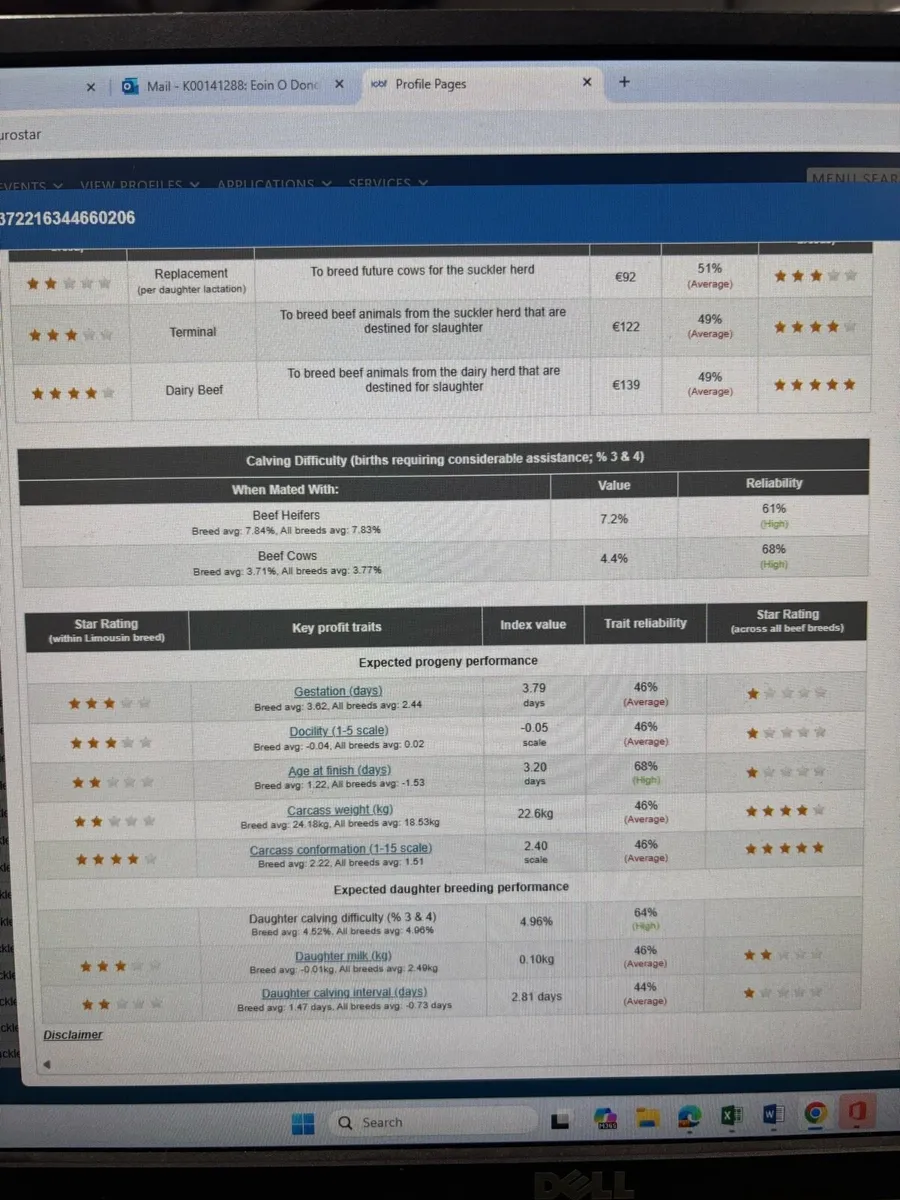 4* P.B.R  Bull - Image 2