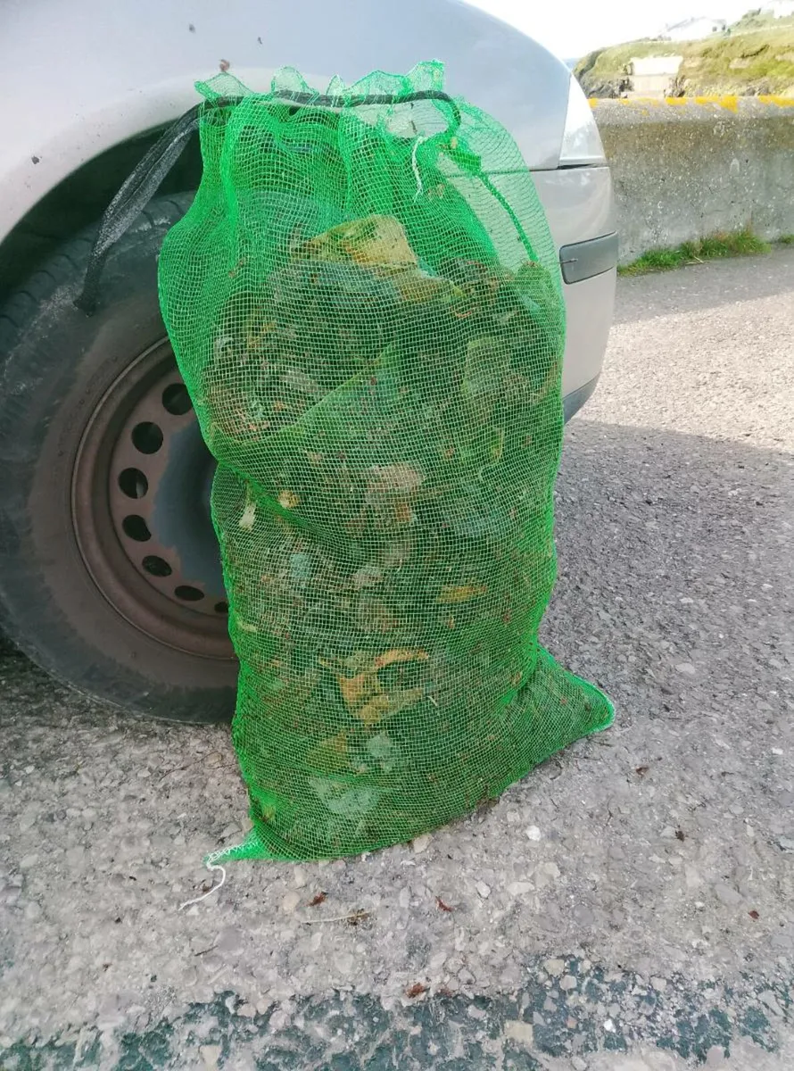Seaweed Fertilizer