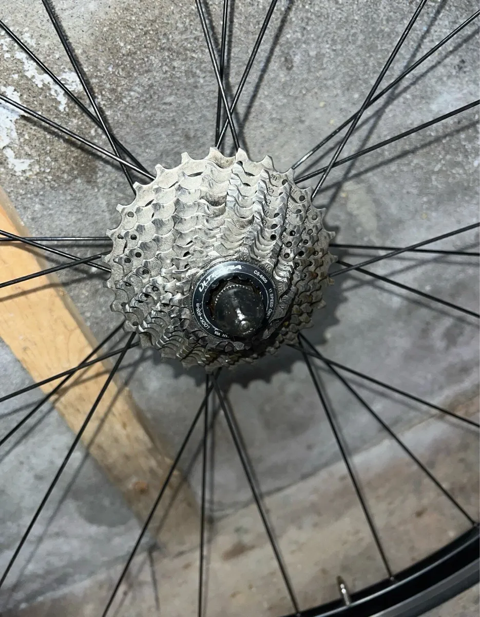 Bicycle Wheels - Image 4