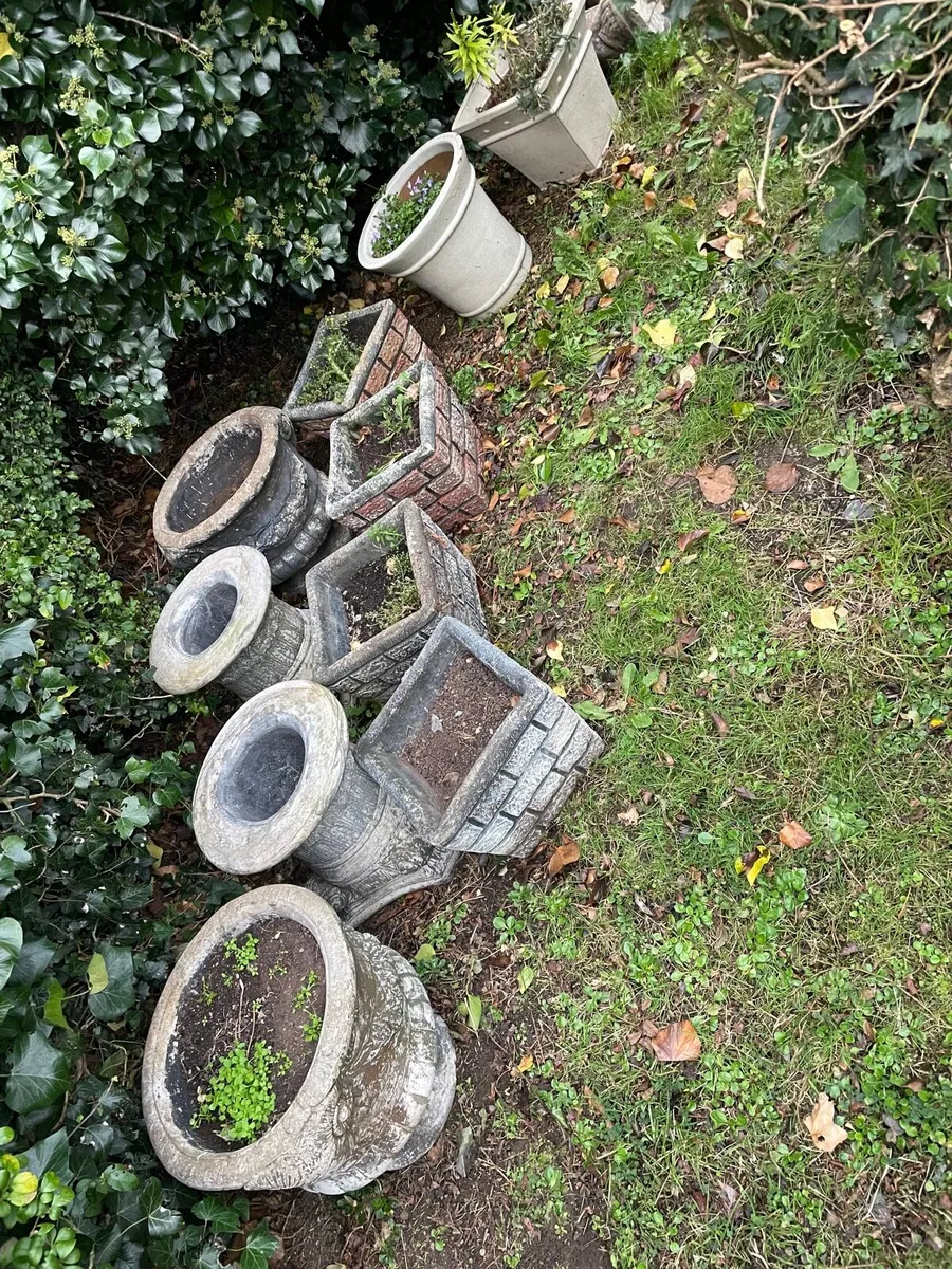 Garden stone pots + statues for sale - Image 4