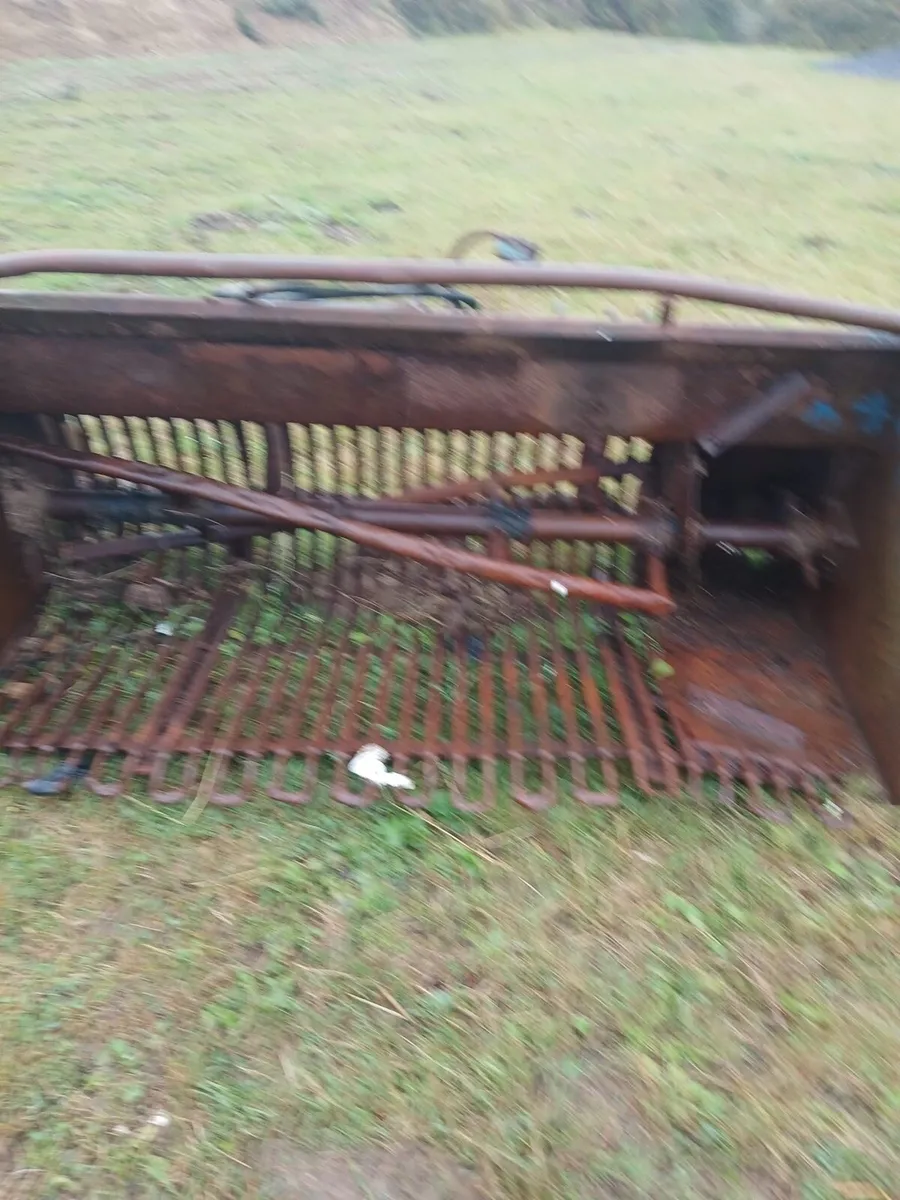 Tango beet chopper - Image 3