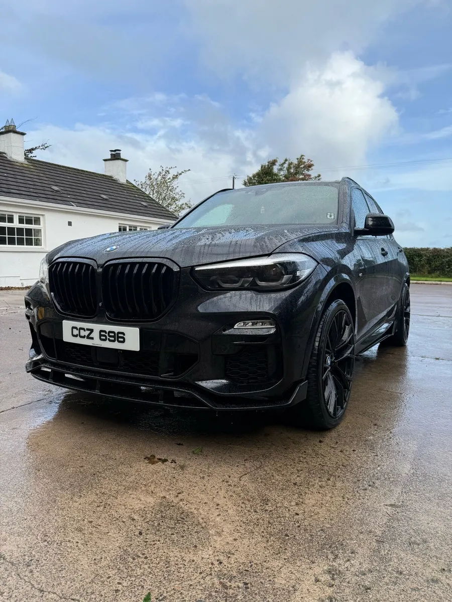 2019 BMW X5 xDrive30d M Sport - Image 2