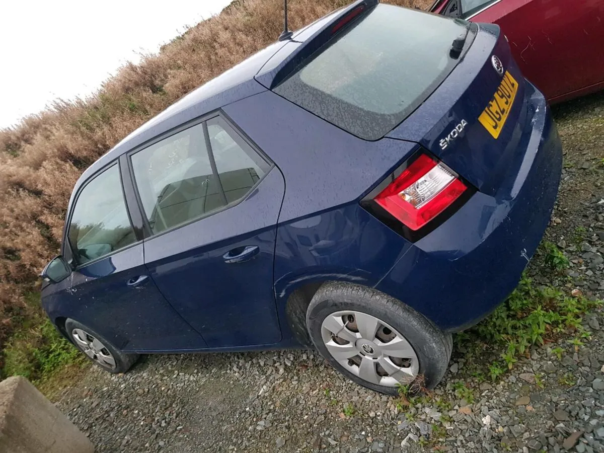 Skoda Fabia 2018 NI Plates - Image 1