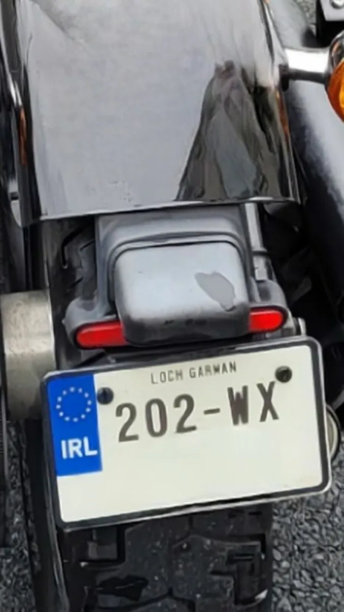 2020 Harley Davidson Softail Standard - Image 2