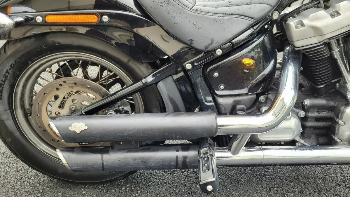 2020 Harley Davidson Softail Standard - Image 3