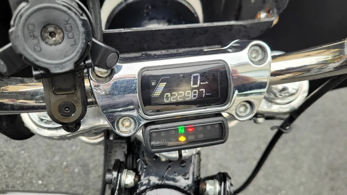2020 Harley Davidson Softail Standard - Image 4