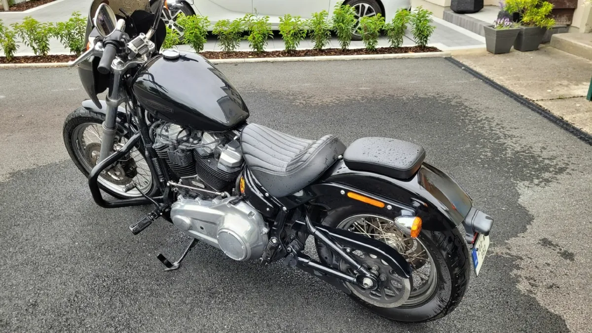 2020 Harley Davidson Softail Standard - Image 1