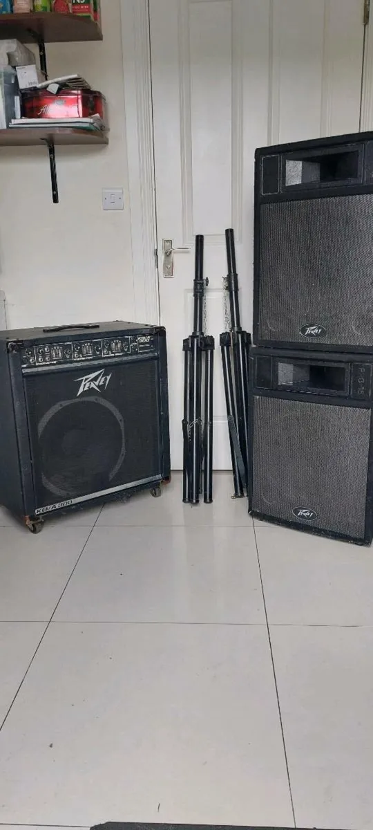2 Peavey PA speakers (passive) + peavey KBD combo - Image 1