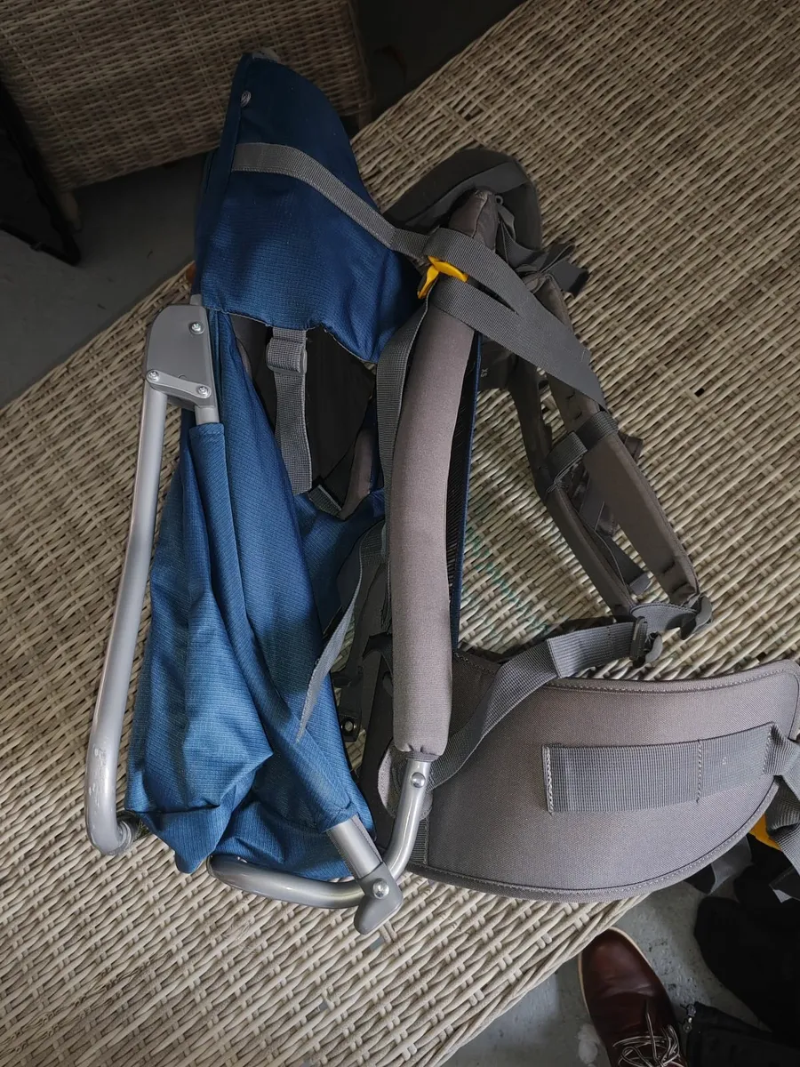 Baby Carrier - Image 2