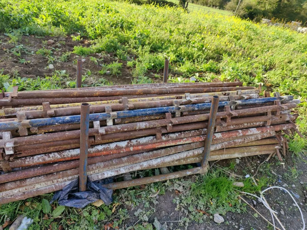 Scaffolding - Image 4