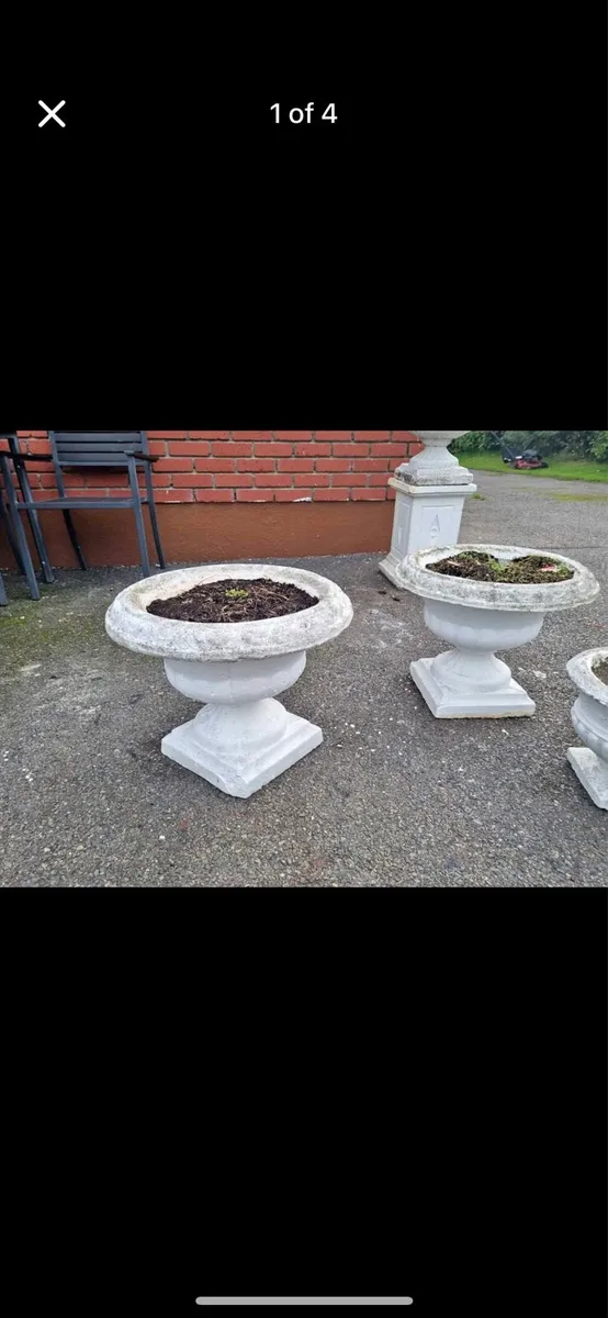 2 concrete pots flowers - Image 1