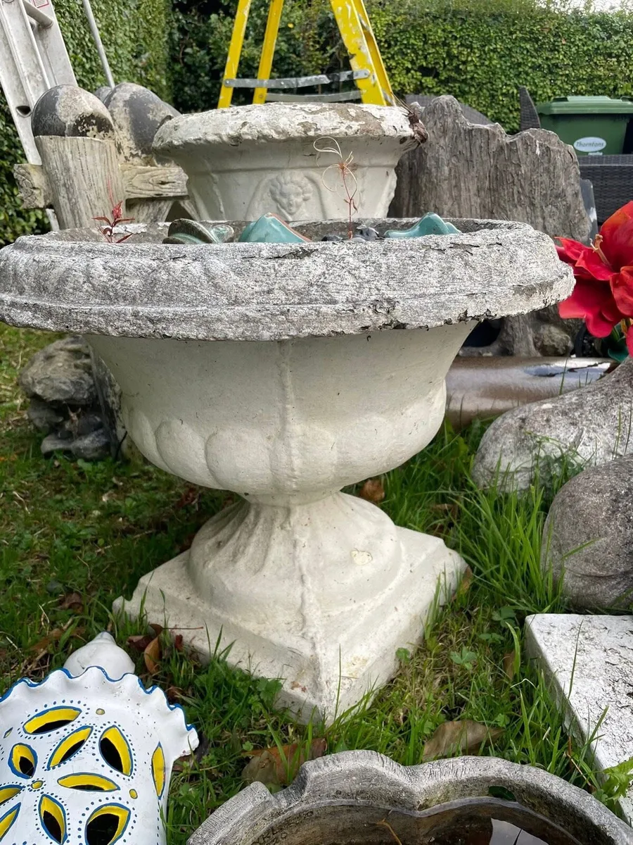2 concrete pots flowers - Image 3