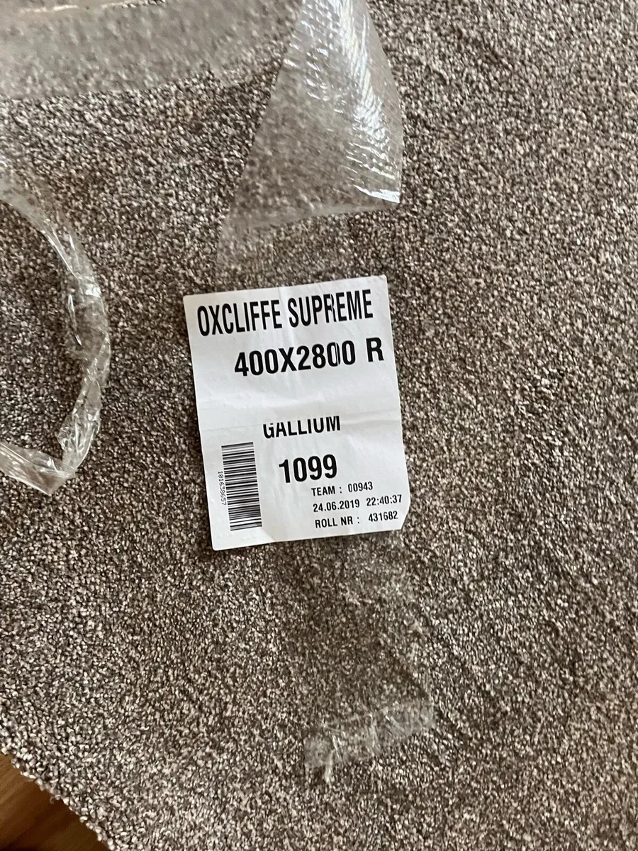 New carpet - Image 1