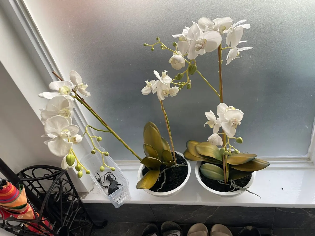 2 x orchid fake plants + pot large - Image 1