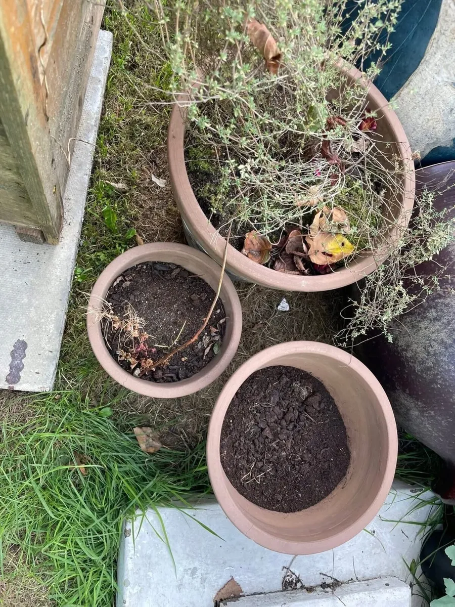 3 pots - Image 2