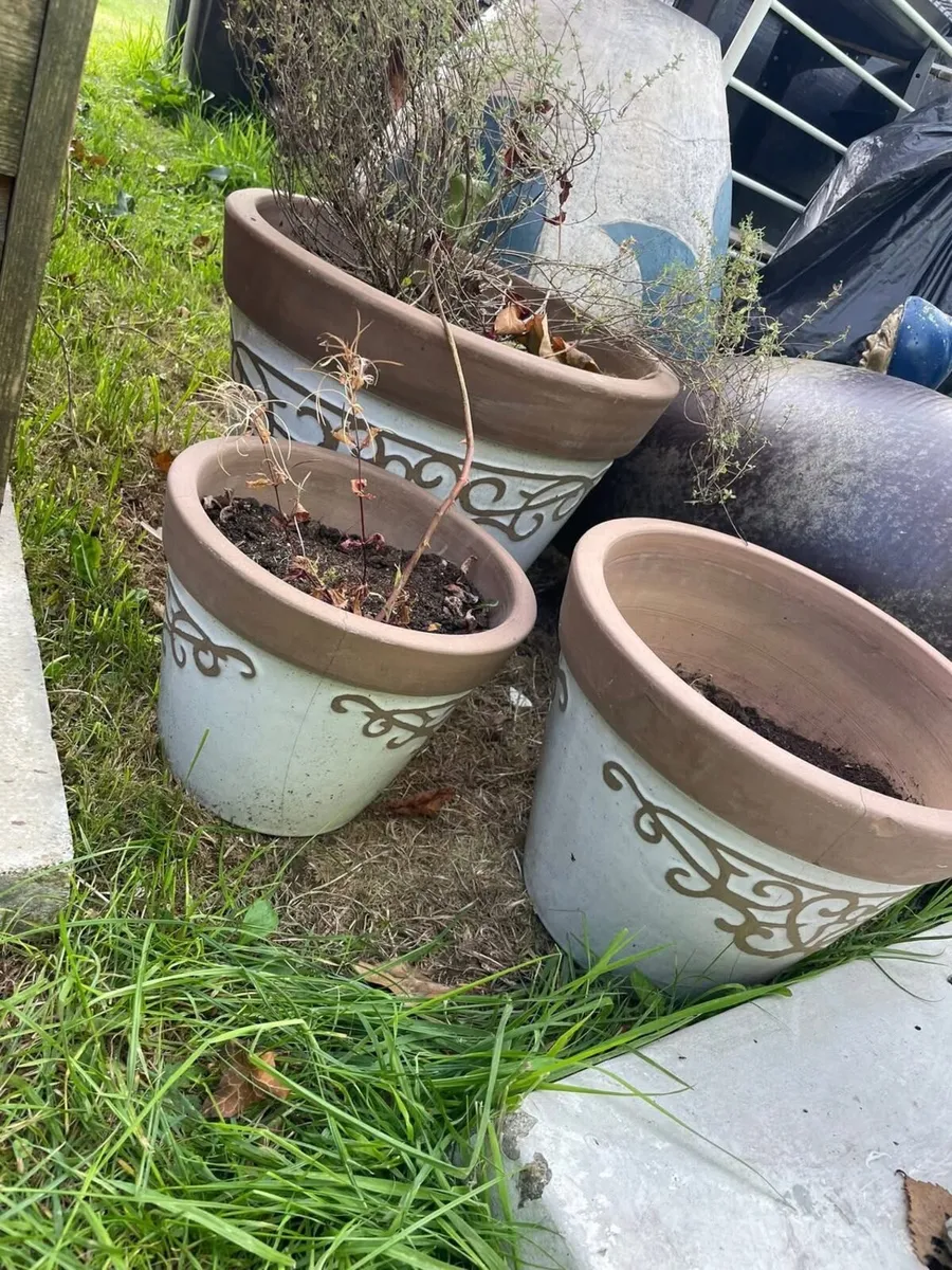 3 pots - Image 3