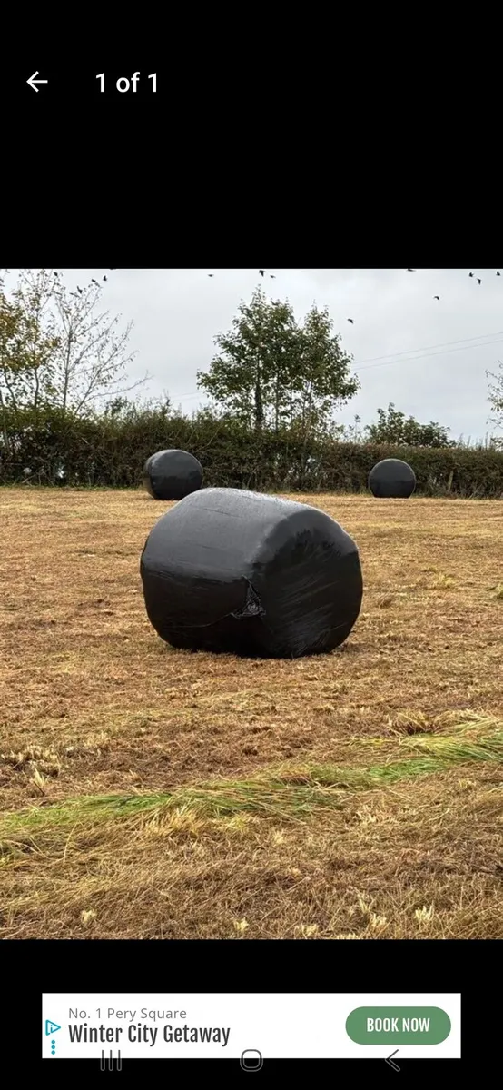 SILAGE BALES