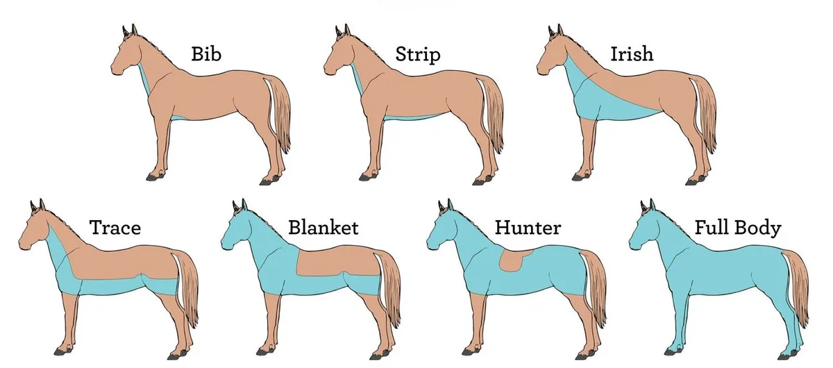 Clipping services available Cork Area