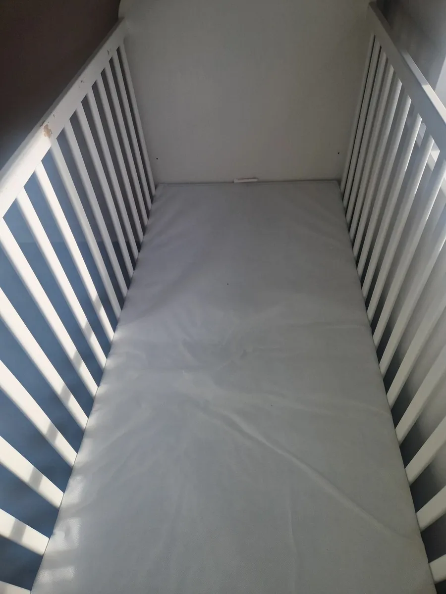 cot - Image 2