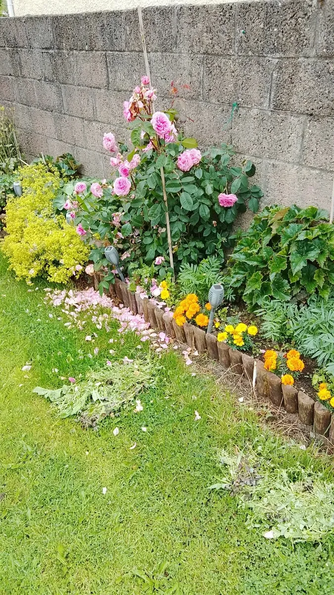 Reliable Handyperson Available Co. Meath - Image 3