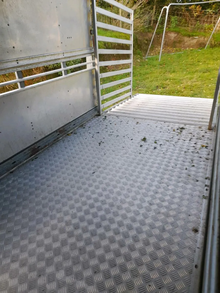 Ivor Williams trailer. - Image 4