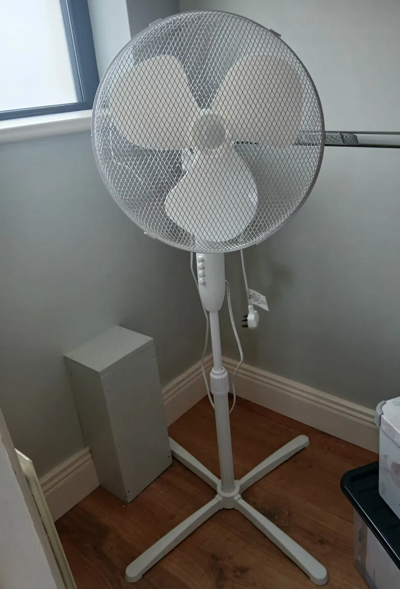 Fan
