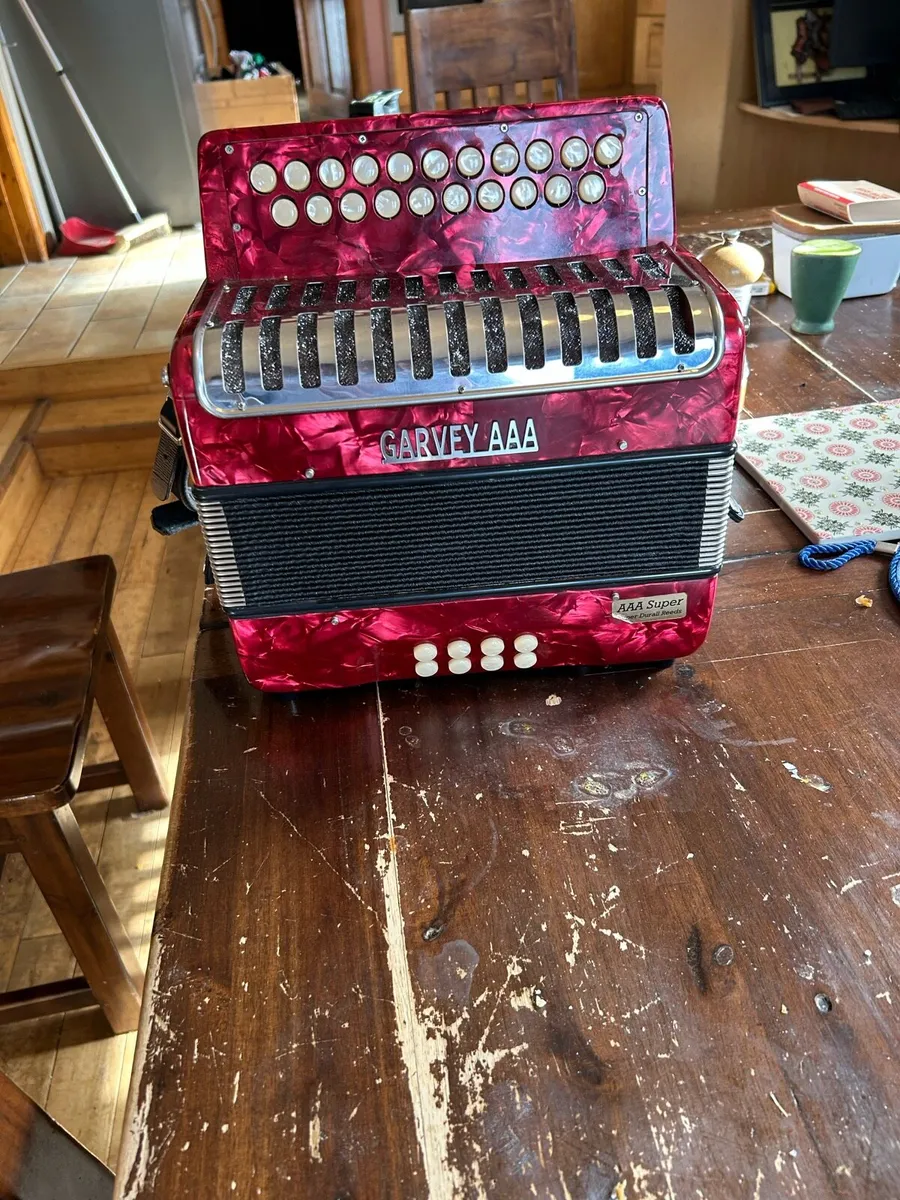 Button accordion - Image 1