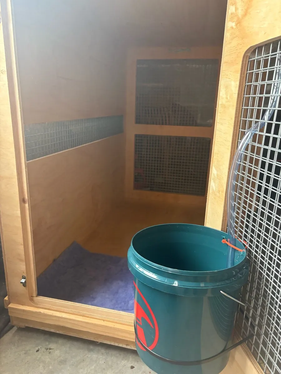 Large dog crate - Image 2