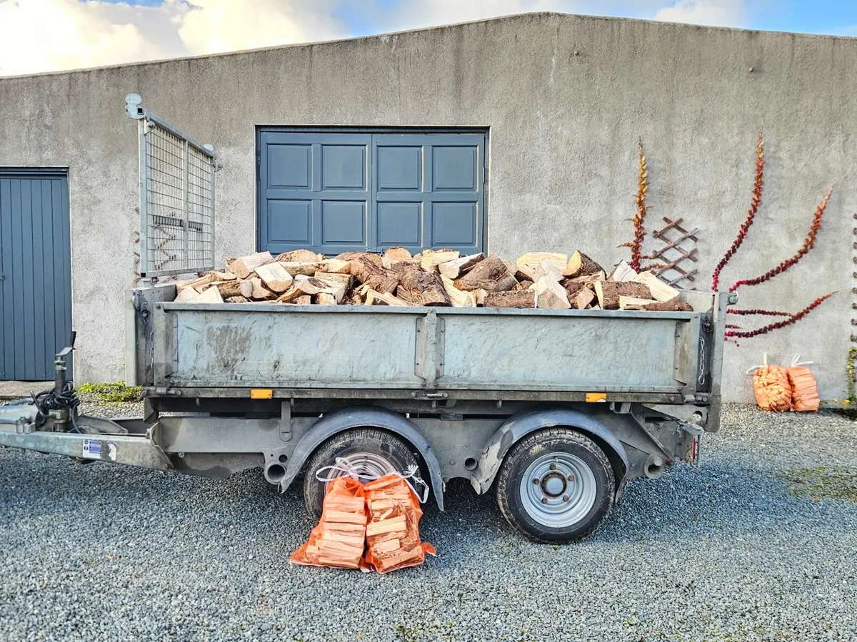 Dry Seasoned Firewood - Image 3