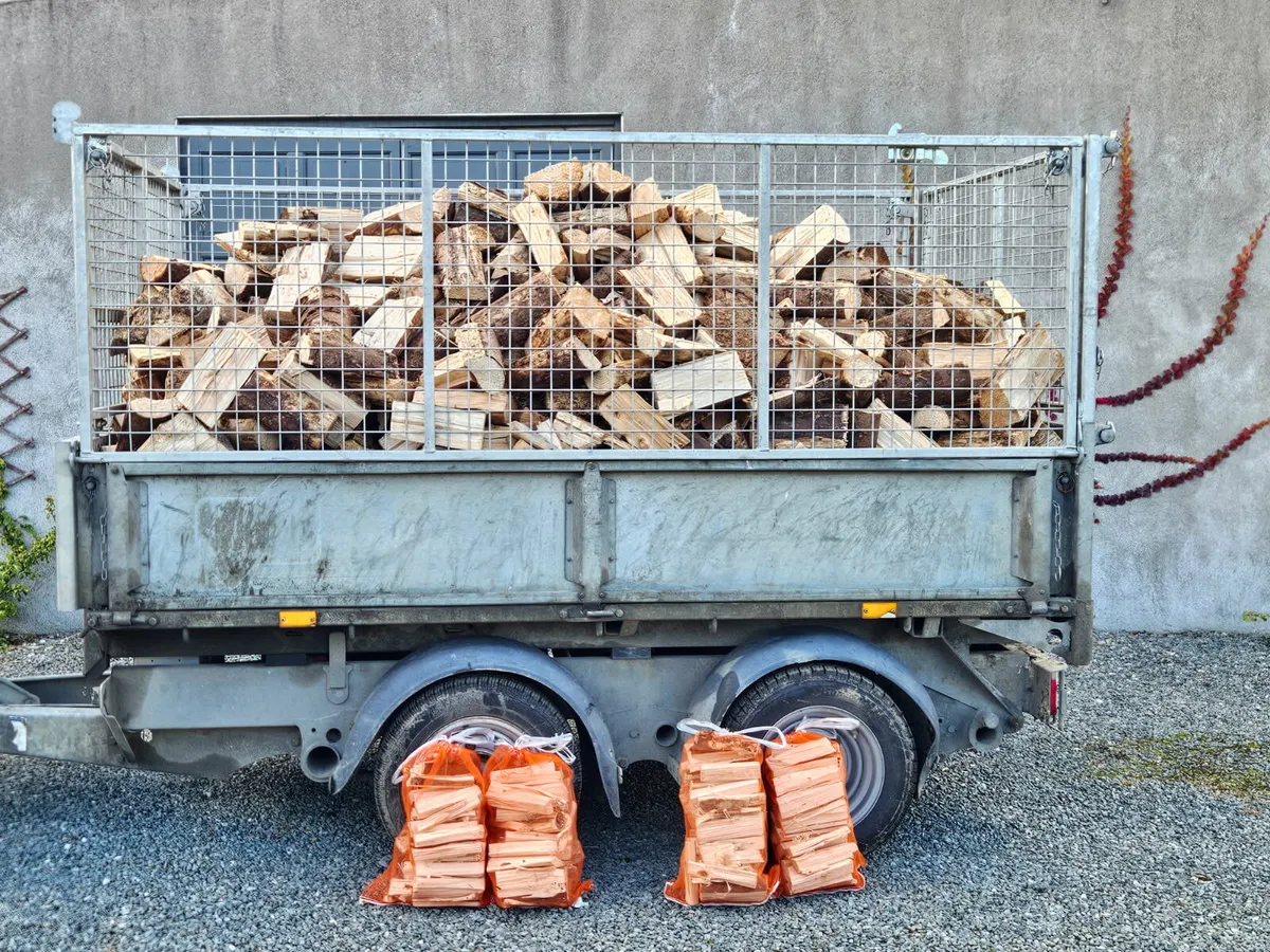 Dry Seasoned Firewood - Image 4