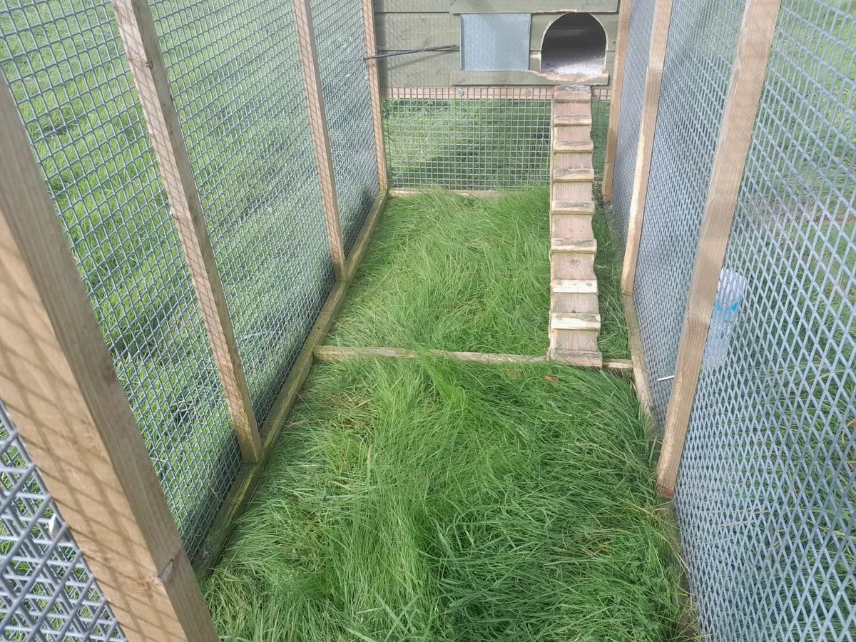 Rabbit hutch - Image 1