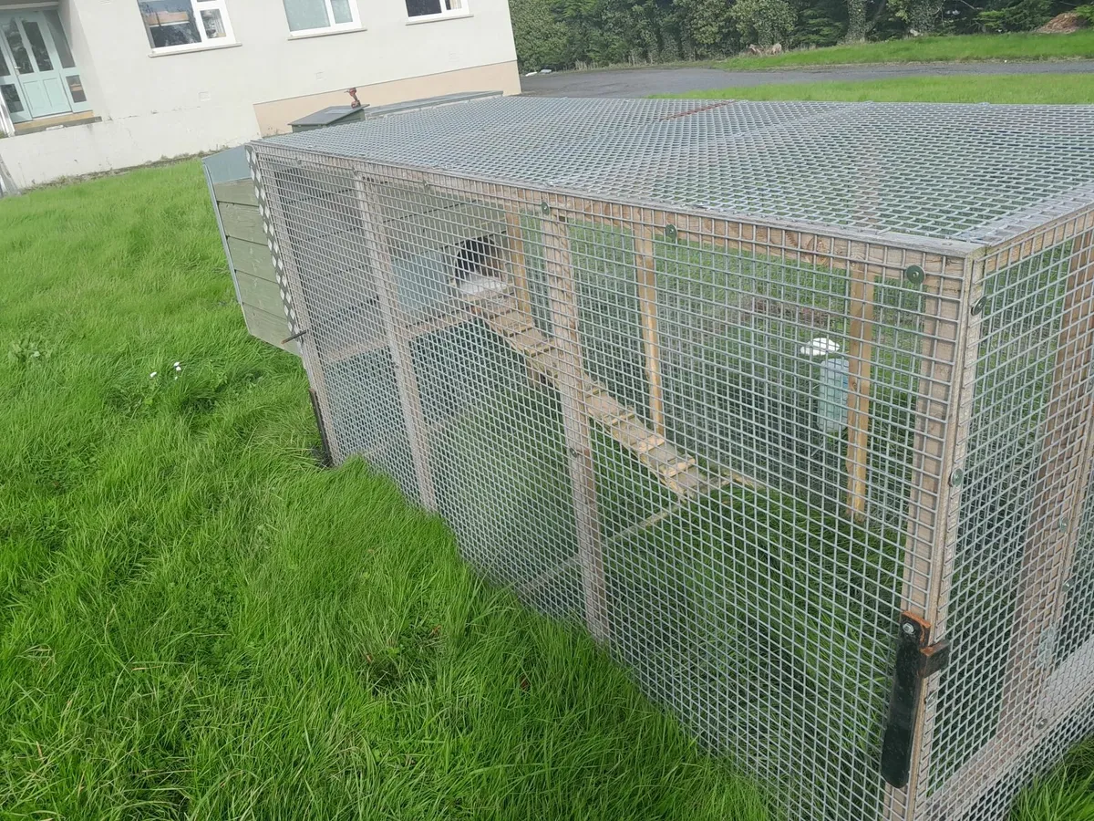 Rabbit hutch - Image 2