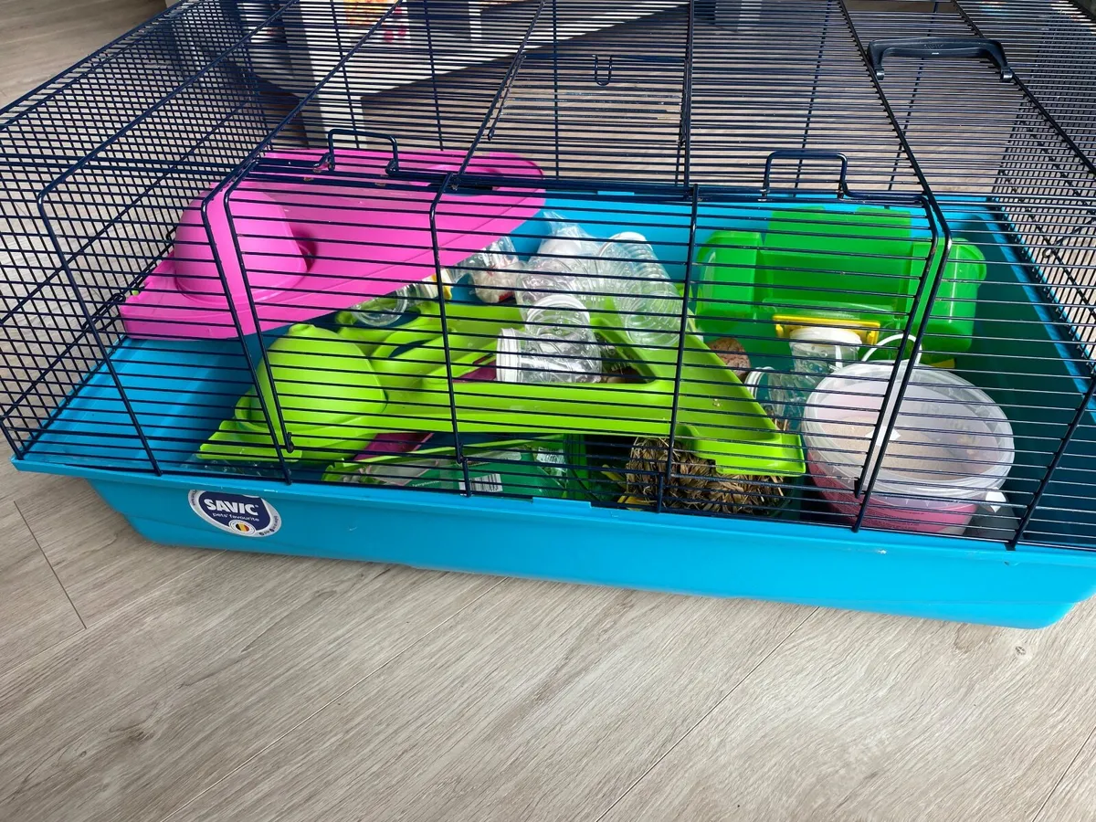 Hamster cage & accessories - Image 2