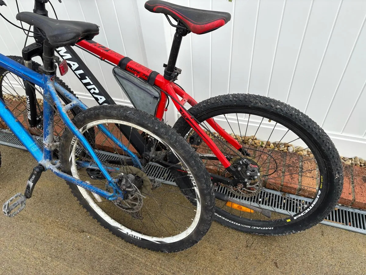Bicycles - Image 4