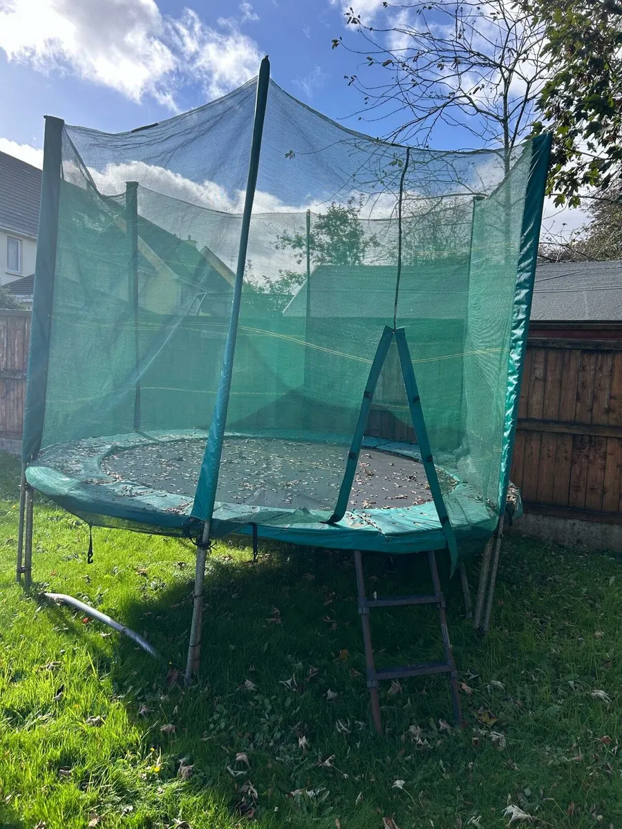 Trampoline - Image 2