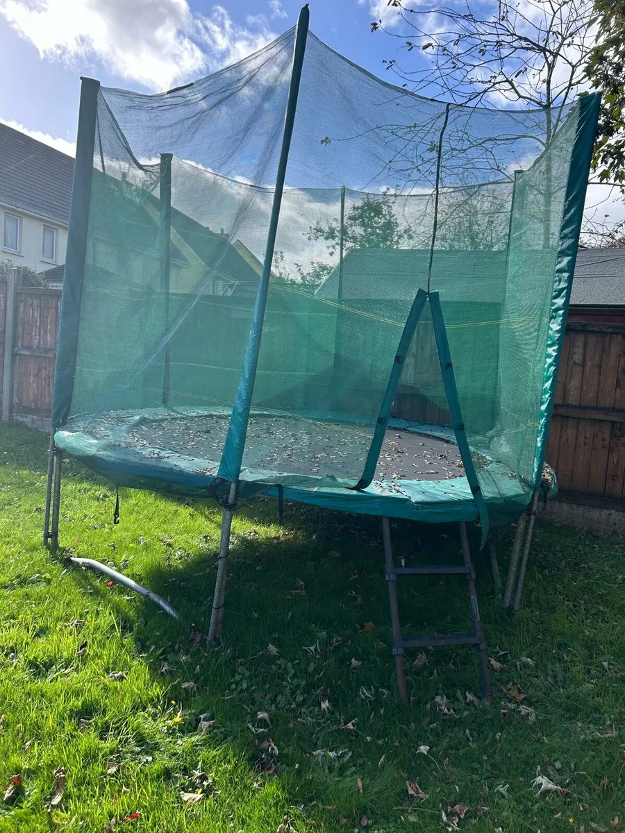 Trampoline - Image 3